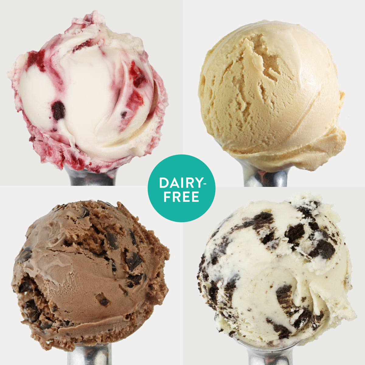 Fan Favorites Ice Cream Collection by eCreamery Gourmet Ice Cream