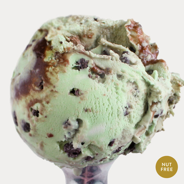 Photo of Mint Cookie Crunch ice cream