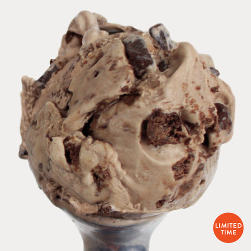 Chocolate Malt Ball Ice Cream (Limited Time) – eCreamery