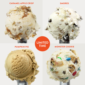 Limited Time Fall Ice Cream Collection