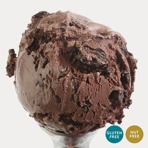 Chocolate Chunk Ice Cream - eCreamery