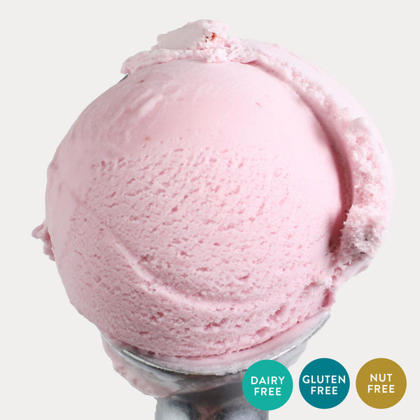 Raspberry Sorbet (Dairy Free) - eCreamery