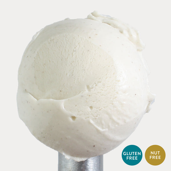 Vanilla Bean Ice Cream - eCreamery