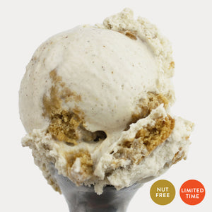 Caramel Chocolate Chip Cookie Ice Cream (Limited Time)