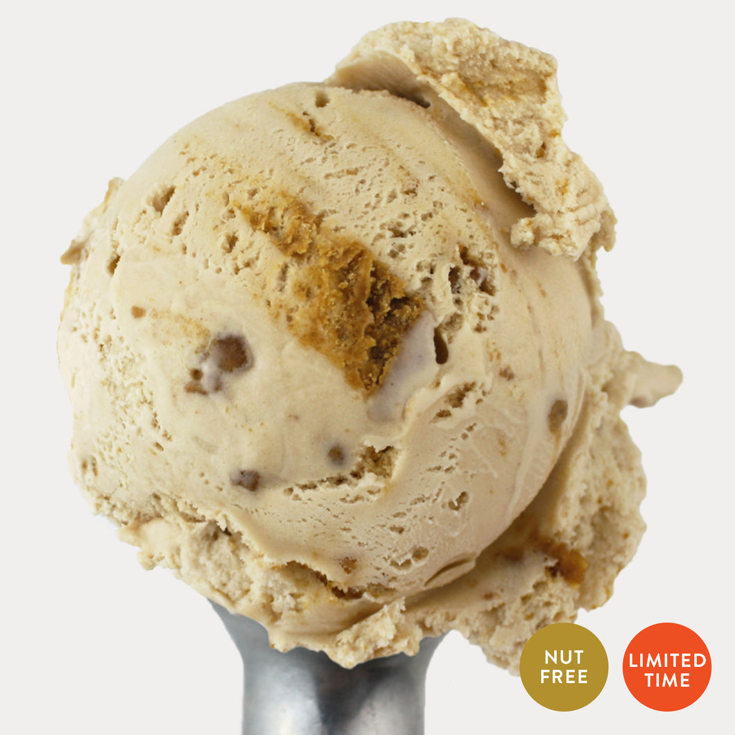 Gingerbread Cheesecake Ice Cream (Limited Time)
