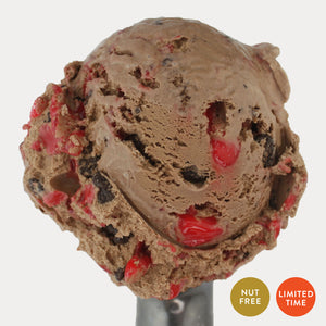 Peppermint Mocha Ice Cream (Limited Time)